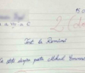 Testul notat cu 2, dar devenit viral pe internet. Cum raspunde un elev la intrebarea: Ce stiti despre M. Eminescu