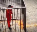 O campanie impotriva violentelor din Siria reproduce scena mortii pilotului iordanian, dar cu copii inchisi in custi