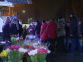 Imbulzeala la piata de flori din Chisinau in ajun de 8 martie. Ce oferte au comerciantii. VIDEO