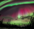 Spectacol uimitor in Noua Zeelanda si SUA. Locuitorii au putut sa observe in voie aurora polara