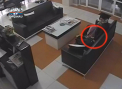 Hoata identificata! A intors telefonul furat, dupa ce s-a vazut la PRO TV