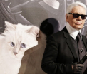 Choupette, pisica lui Karl Lagerfeld, a castigat anul trecut 3 milioane de euro. Colaborarile felinei in lumea modei