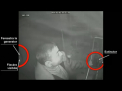 Momentul  izbucnirii flacarilor in trenul european. Mecanicul, nici gand sa actioneze. VIDEO