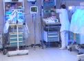 Prelevau celule stem de la nou-nascuti. Mai multi medici implicati in schema: Faceau bani grei din asta