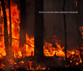 Incendiile uriase din Rusia au consecinte neasteptate in America. Ce s-a intamplat in Seattle din cauza curentilor de aer