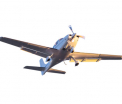 Sapte morti, dupa prabusirea unui avion in Republica Dominicana. Aeronava s-a lovit de copaci si a luat foc, dupa decolare