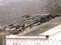 Al doilea INCENDIU in mai putin de jumatate de an la o avicola din Calarasi. Peste 13 mii de pui au ARS DE VII