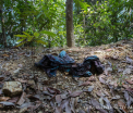 Autoritatile din Malaysia au descoperit gropi comune unde erau aruncate cadavrele imigrantilor. "Nu stim cate sunt in total"