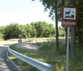 Drumul din Romania unde caprioarele au prioritate. Soferii trebuie sa incetineasca viteza si sa le permita sa traverseze