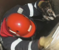 Aventura unei pisicute care a stat 3 zile intr-o fantana secata. Cum au reusit pompierii sa o scoata la suprafata
