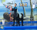 Unicul delfinariu din tara se inchide - Asa si-au luat ramas bun delfinii de la spectatorii lor. Motivul pentru care administratia a luat aceasta decizie - VIDEO