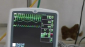 Doi copii de 3 ani, in stare GRAVA la spital, dupa ce s-au intoxicat: "Au crezut ca sunt bomboane"