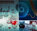 De ce unele persoane infectate cu Ebola supravietuiesc, iar altele nu. Patru factori care fac diferenta intre viata si moarte