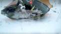 Ingrozitor. Imagini video de la locul unde avionul cu 71 de persoane la bord s-a prabusit - VIDEO