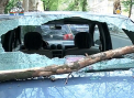VIDEO. Ghinion pentru un sofer din capitala. S-a trezit cu geamul spart dupa ce a cazut o creanga peste el