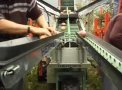 Lovitura pentru fermierii moldoveni. Autoritatile au taiat in jumatate subventiile pentru agricultori: "Este o stare de soc" - VIDEO