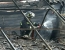 VIDEO. INCENDIU de proportii la o vulcanizare din capitala: Zeci de oameni au fost evacuati