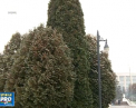 Iarna revine in forta. Marti si miercuri va ninge, iar temperaturile scad simtitor