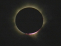 Eclipsa totala de soare in Australia! Zeci de oameni au admirat spectacolul! Efectele asupra animalelor