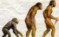 "Suntem pe cale sa descifram misterul evolutiei umane."Ce anume a facut specia noastra sa progreseze