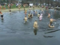 Frigul nu-i sperie! Cum s-au scaldat peste 200 de polonezi in apele glaciale ale unui lac