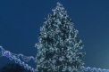 Start sarbatorilor de iarna! Afla ce surprize te asteapta de 1 decembrie