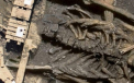 Scheletul unui animal bizar, descris in mitologia asiatica, descoperit in Coreea de Nord