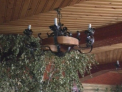 Un restaurant a ramas fara mese, scaune, lustre si chiar... fara doua animale impaiate! Vezi de ce