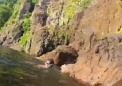 Cea mai mare sperietura din viata acestui om. Cum a fost atacat de un crocodil "zburator". VIDEO