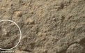 "Floarea" descoperita pe Marte. O imagine a Roverului Curiosity a aprins dezbaterile la NASA