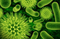 Descopera 5 locuri surprinzatoare unde se ascund microbii in casa ta