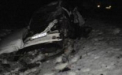 Neatentia i-a costat viata. Doi tineri din Cantemir au MURIT dupa ce au intrat cu masina in copac