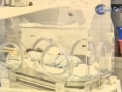 Astepta cinci, dar a nascut sase copii! Surpriza inedita care i-a uimit pana si pe medici