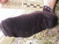Omorata cu CRUZIME. O femeie din Criuleni, violata si batuta pana la moarte. Printre suspecti, doi minori