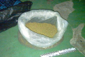 Membrii unei grupari criminale, specializata in comercializarea drogurilor, retinuti. Capul gruparii, o femeie