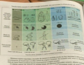 Baptistii cer Ministerului Educatiei sa modifice programa scolara si continutul manualelor! Vezi de ce