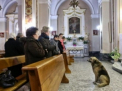 Lectia de loialitate data de un caine. Isi asteapta zilnic in biserica stapana moarta de doua luni