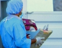 SUA afirma ca trimiterea unei maimute in spatiu de catre Iran incalca o rezolutie ONU