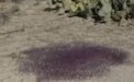 Descoperire bizara in mijlocul desertului. Oamenii de stiinta nu stiu sa explice fenomenul. VIDEO