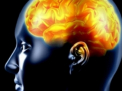 Human Brain Project, ideea de 1.6 mld. dolari care va transforma creierul uman intr-un supercomputer