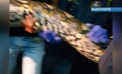 Vizitator neasteptat: Un sarpe de 8 metri s-a ascuns intr-un restaurant din Thailanda - VIDEO