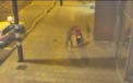 Momentul in care o femeie naste in plina strada, ajutata de mama si de mai multi paznici. VIDEO