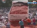 Razboiul tomatelor a inceput in Chile. Mii de oameni s-au batut cu 40 de mii de tone de rosii