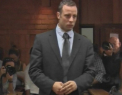 Oscar Pistorius a fost eliberat pe cautiune, dupa ce a platit 10 mii de euro