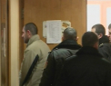 Au scapat de arest. Fostul director al rezervatiei Padurea Domneasca si subalternul sau, eliberati