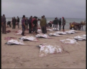 Imagini de groaza pe o plaja din Fasia Gaza. Zeci de diavoli de mare au esuat, in mod inexplicabil
