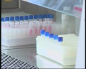 Am scapat de pericolul de epidemie! Cand scapam definitiv de gripa