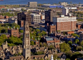 Studiu: 3% dintre studentii de la Yale au facut sex cu animale. 22% nu au avut partener sexual