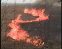 Incendiu de proportii in comuna Vatra! Peste 250 de metri patrati de vegetatie distrusa