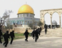 Confruntari violente la Ierusalim. Ce i-a infuriat pe palestinieni